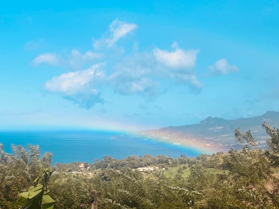 Bungalow Avec Vue Dans Lieu Calme Le Carbet Extérieur photo