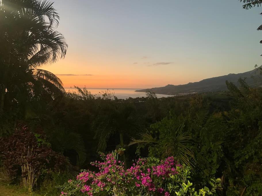 Bungalow Avec Vue Dans Lieu Calme Le Carbet Extérieur photo