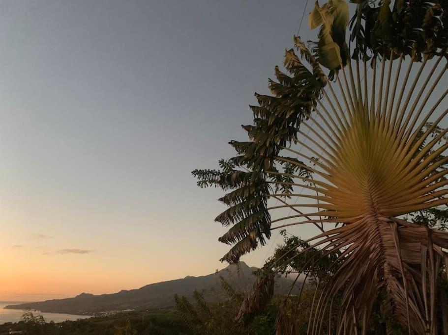 Bungalow Avec Vue Dans Lieu Calme Le Carbet Extérieur photo