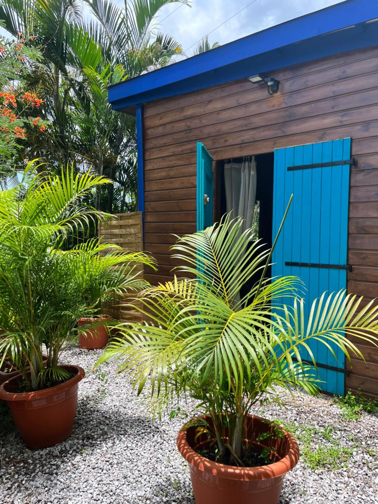 Bungalow Avec Vue Dans Lieu Calme Le Carbet Extérieur photo